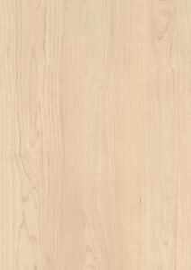 H1732 ST9 Sand Birch